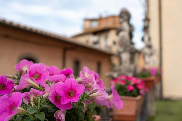 La Finestra Sul Borgo Dimora Storica Apartment Laterina ภายนอก รูปภาพ